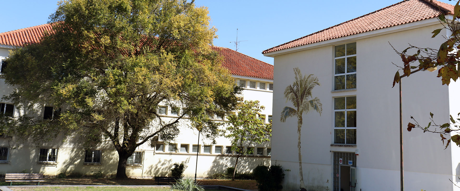 Escola Superior De Educa o Santar m Polytechnic University Escola Superior De Educa o Santar m Polytechnic University