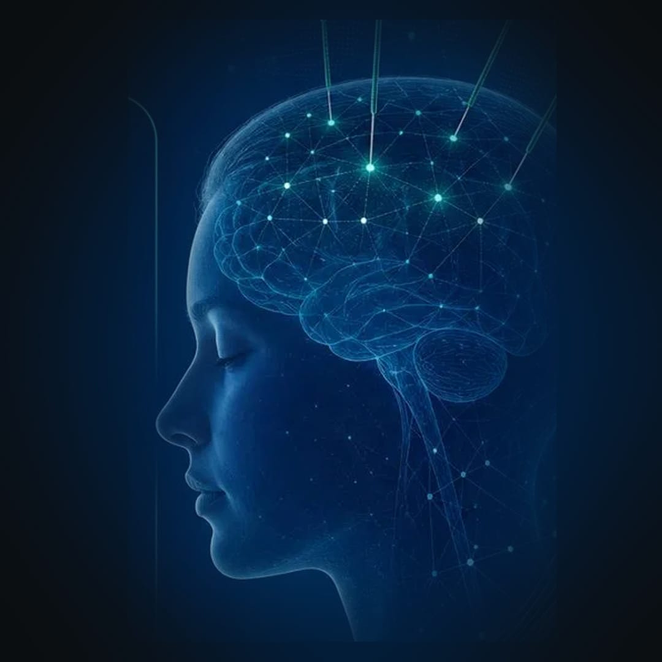 ESDRM_PG_medicinatradicionalchinesa ESDRM_PG_medicinatradicionalchinesa